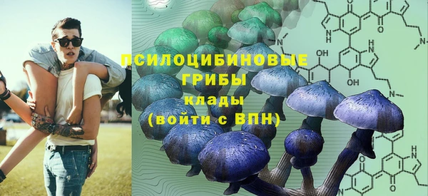 соль курить ск Ельня