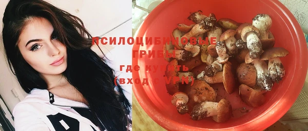 соль курить ск Ельня